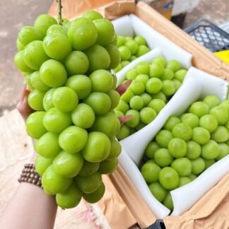 Nho xanh